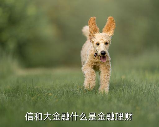信和大金融什么是金融理財(cái)