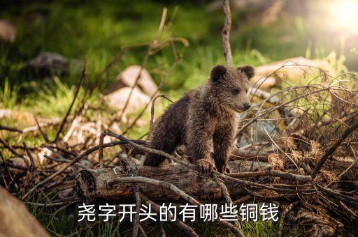 堯字開頭的有哪些銅錢