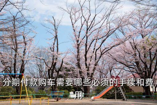 分期付款購車需要哪些必須的手續(xù)和費用