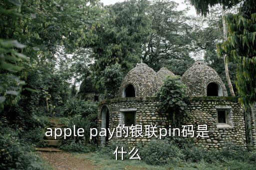 apple pay的銀聯(lián)pin碼是什么