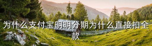 為什么支付寶明明分期為什么直接扣全款