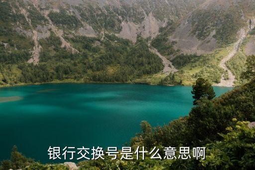 銀行交換號(hào)是什么意思啊