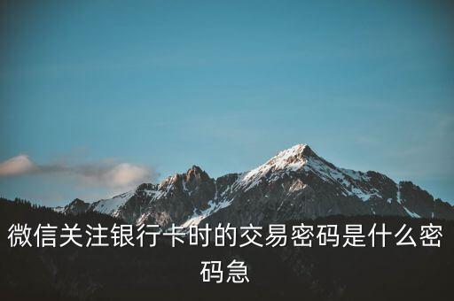 微信綁信用卡支付密碼是什么，微信綁卡時(shí)出現(xiàn)支付密碼是什么意思