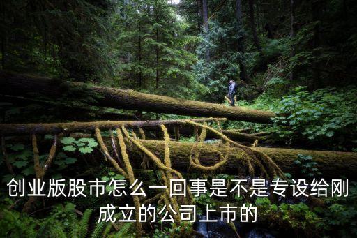 為什么有創(chuàng)業(yè)板股票，股票為什么要分a 股和創(chuàng)業(yè)板