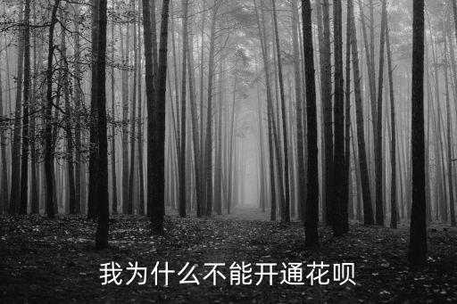 我為什么不能開通花唄