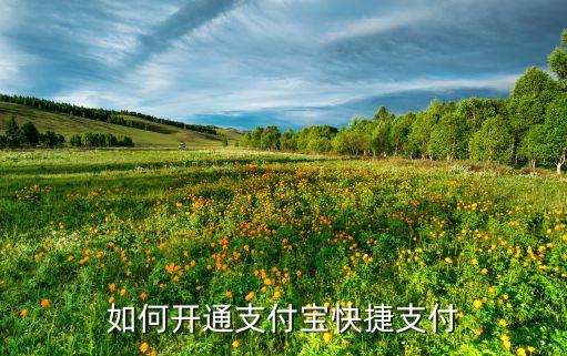 什么開通支付寶快捷支付方式，怎么開通快捷支付寶