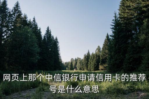 網(wǎng)頁(yè)上那個(gè)中信銀行申請(qǐng)信用卡的推薦號(hào)是什么意思