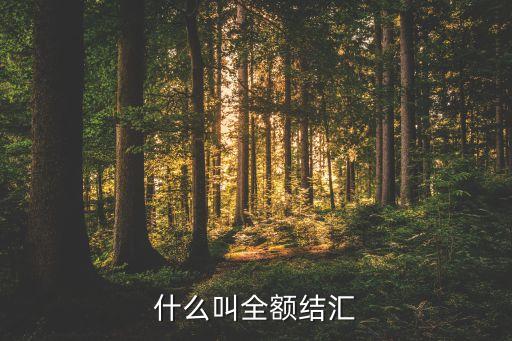 什么叫全額結(jié)匯