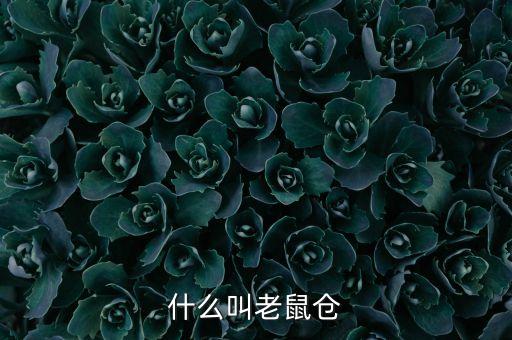 什么叫做老鼠倉，什么是老鼠倉