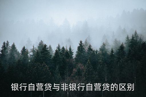 什么是銀行自營產品，銀行自營投資理財資金投資有什么區(qū)別