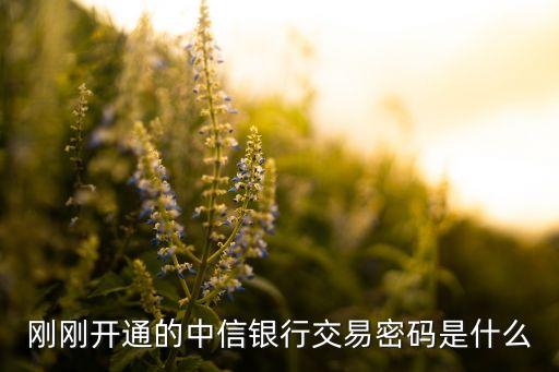 剛剛開通的中信銀行交易密碼是什么
