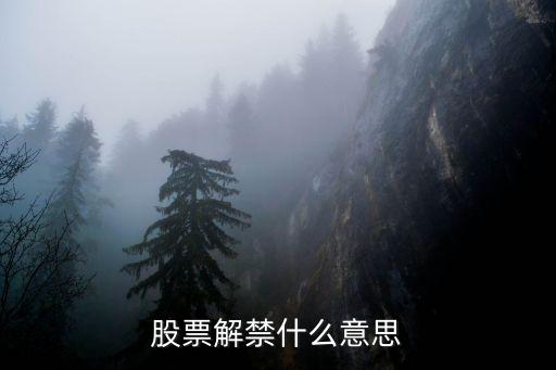 股票解禁什么意思
