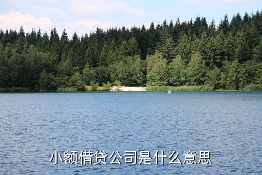 信貸公司什么意思，信貸業(yè)務(wù)是什么意思