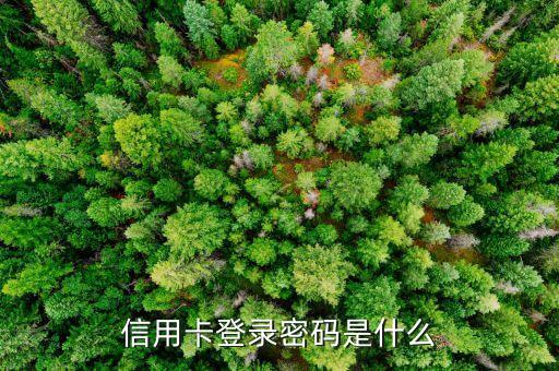 信用卡登陸密碼是什么意思，信用卡登錄密碼是什么