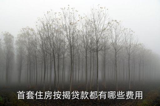 首套住房按揭貸款都有哪些費(fèi)用