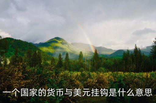 一個(gè)國(guó)家的貨幣與美元掛鉤是什么意思
