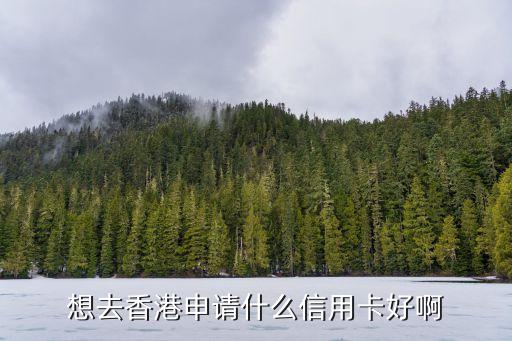 去香港辦什么信用卡，去香港旅游 辦哪個銀行的信用卡比較好