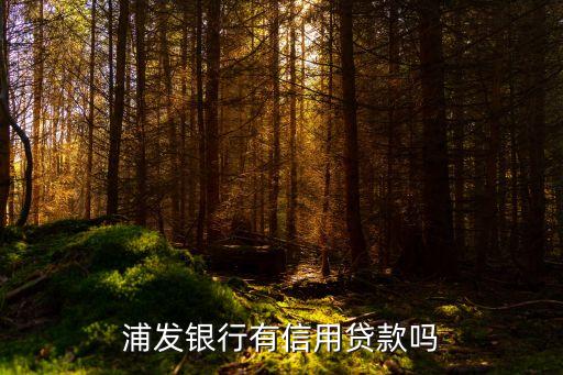 浦發(fā)銀行有信用貸款嗎