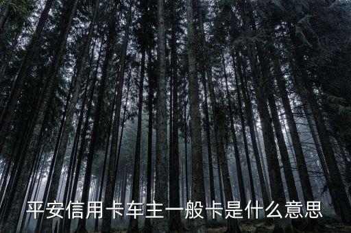 平安信用卡車主一般卡是什么意思