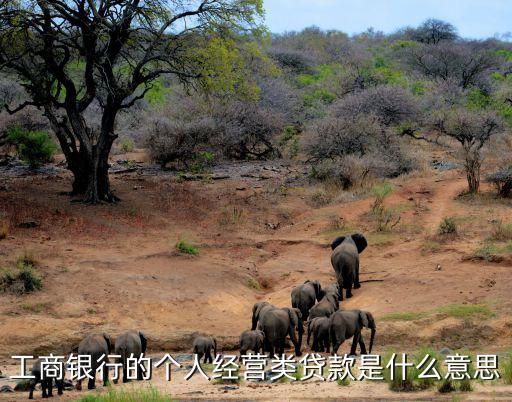 什么是個人經(jīng)營貸款，個人經(jīng)營性貸款的含義