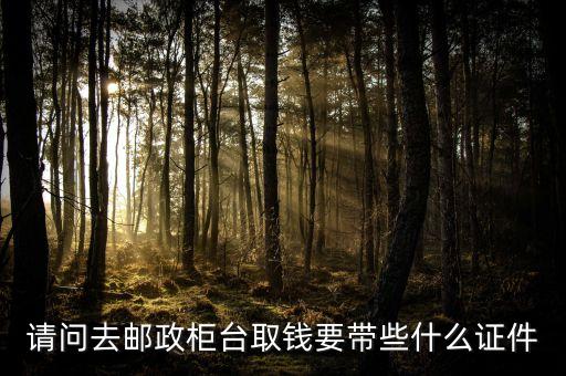 請(qǐng)問(wèn)去郵政柜臺(tái)取錢(qián)要帶些什么證件