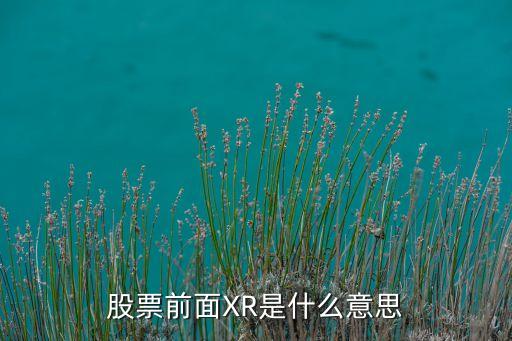 股票前面XR是什么意思
