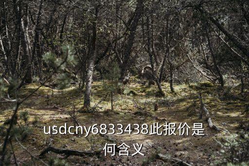 usd cny是什么意思，USDCNY這列是什么意思啊