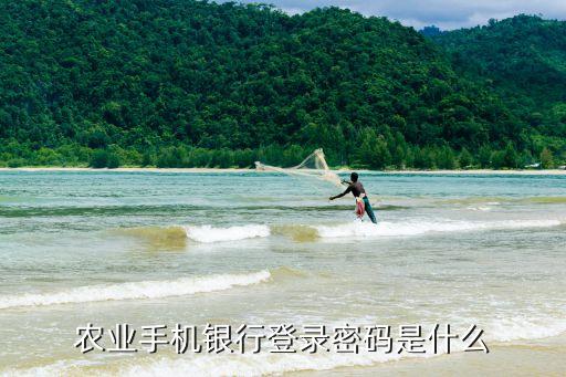 農(nóng)業(yè)手機銀行登錄密碼是什么