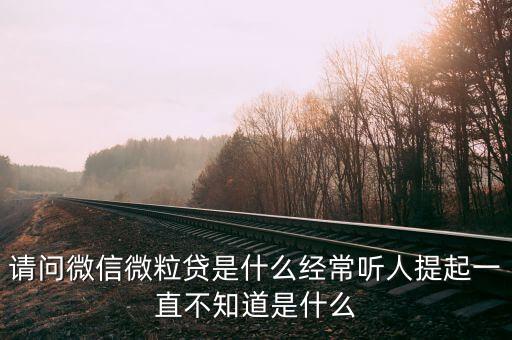 請(qǐng)問(wèn)微信微粒貸是什么經(jīng)常聽(tīng)人提起一直不知道是什么