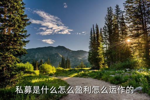 私募是什么怎么盈利怎么運(yùn)作的