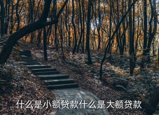 什么是小額貸款什么是大額貸款