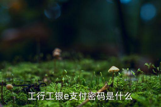 工行app開(kāi)通e支付密碼是什么，工行工銀e支付密碼是什么