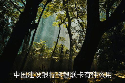 銀聯(lián)普卡有什么功能，什么是蘇寧銀聯(lián)普卡