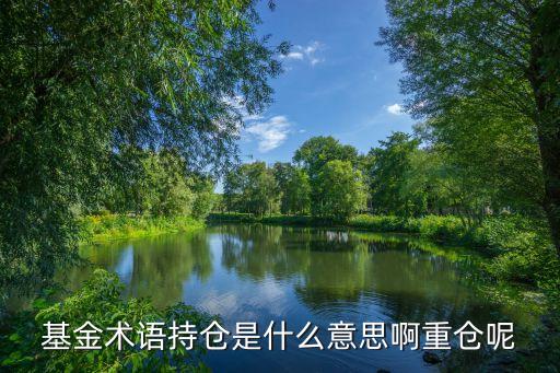 基金術(shù)語持倉是什么意思啊重倉呢