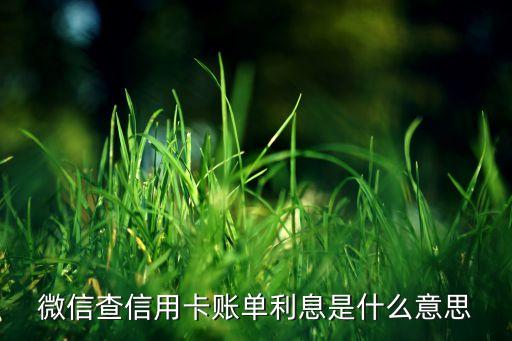 微信信用卡賬單 是什么，信用卡微賬單和賬單的區(qū)別