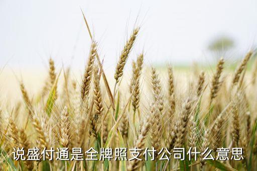 說盛付通是全牌照支付公司什么意思