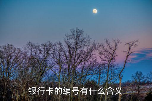 信用卡編號(hào)什么意思，工商信用卡申請(qǐng)單編號(hào)是什么意思