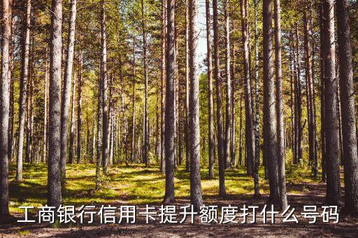 工商銀行信用卡提升額度打什么號(hào)碼