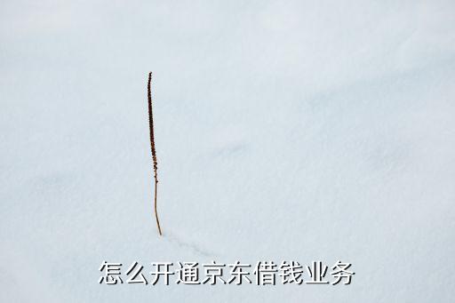 怎么開通京東借錢業(yè)務(wù)