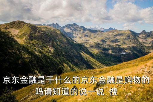 京東金融什么用，京東金融最大的業(yè)務(wù)是什么