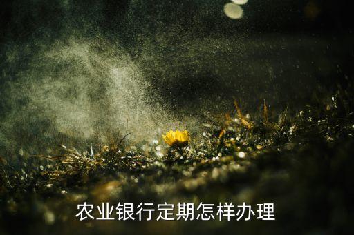 農(nóng)業(yè)銀行定期怎樣辦理