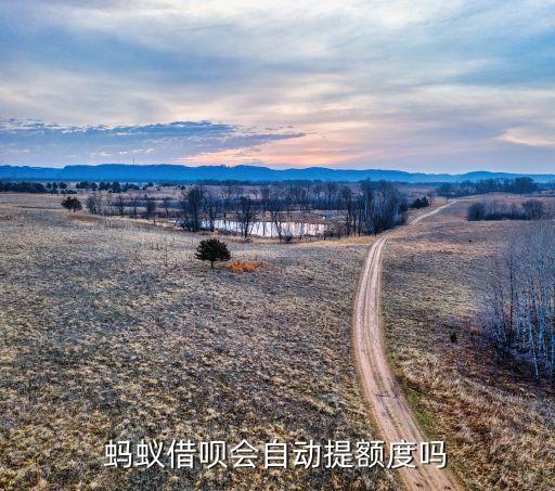 螞蟻借唄什么時(shí)候評(píng)估，芝麻信用分多久評(píng)估一次我的借唄都還沒(méi)有花唄額度2000但實(shí)際
