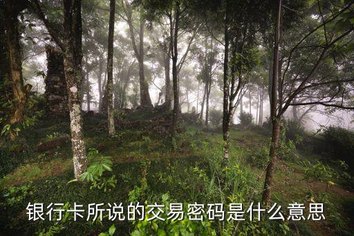 銀行卡所說(shuō)的交易密碼是什么意思