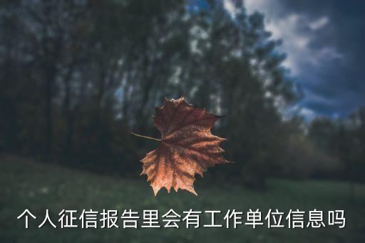 個人征信報告里會有工作單位信息嗎