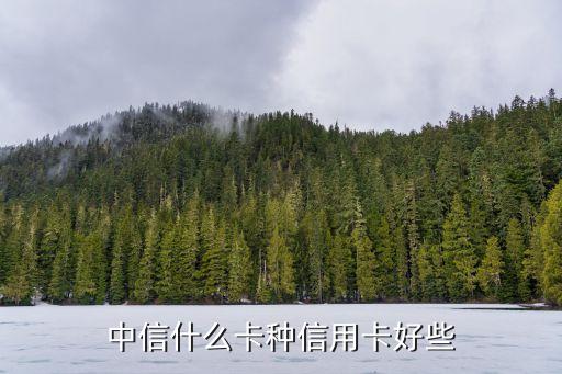 中信什么卡種信用卡好些