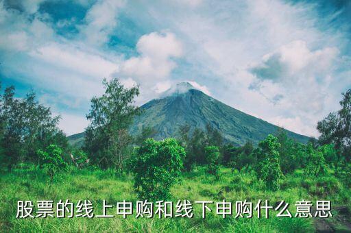 股票的線上申購(gòu)和線下申購(gòu)什么意思