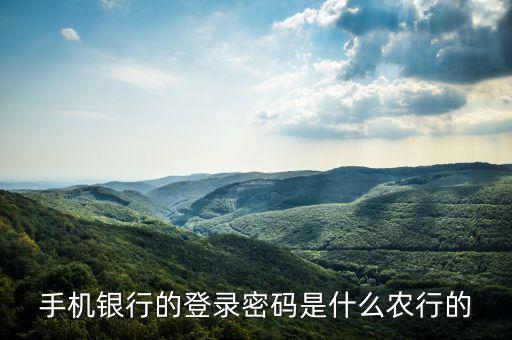 手機(jī)銀行的登錄密碼是什么農(nóng)行的