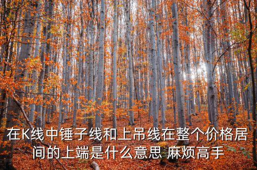 在K線中錘子線和上吊線在整個(gè)價(jià)格居間的上端是什么意思 麻煩高手