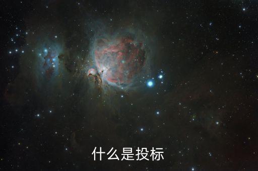 投標(biāo)是什么意思，什么是投標(biāo)