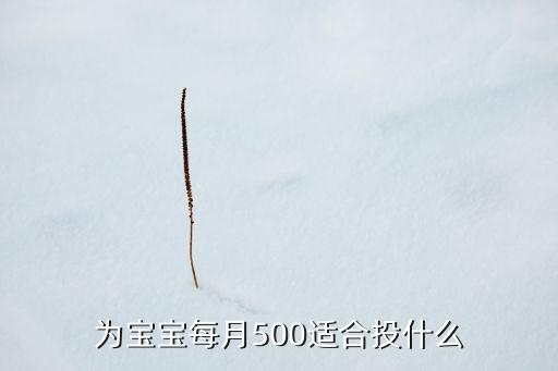 為寶寶每月500適合投什么